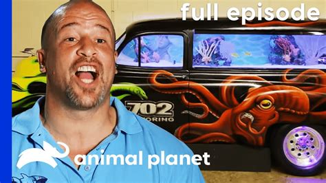 tanked gostream|FULL EPISODE: Brett Takes a Dive (S1, E1) .